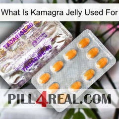 What Is Kamagra Jelly Used For new12